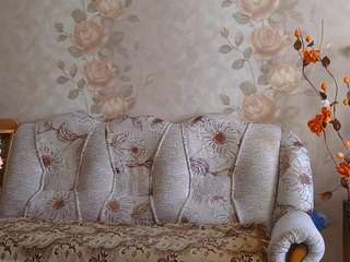 Live stream of berniekariger