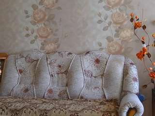 Live stream of berniekariger