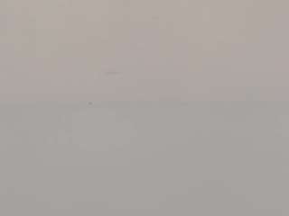 aliislove Live Webcam on CamSoda