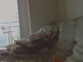 elliepixie
