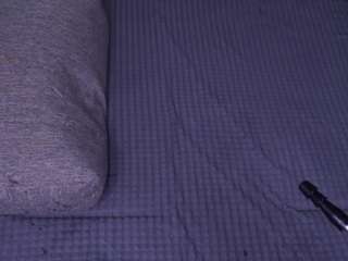 lipdiptalk Live Webcam on CamSoda