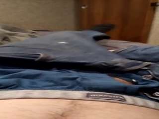 zipdog1 webcam