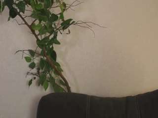 arlinetrentinella webcam