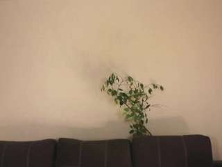 arlinetrentinella live cam profile