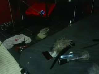 ashleyandtommy webcam model