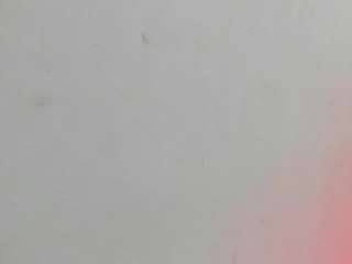 misscurvytop, female webcam model,  years old, on live webcam