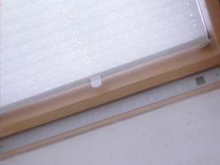 abigailkuntz's CamSoda show and profile