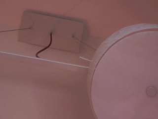 AbigailKuntz live webcam show