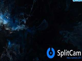 salomesmit666