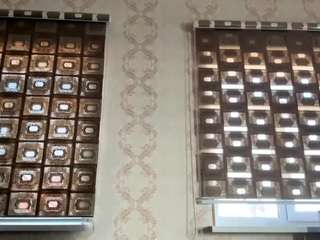  dixiekogel chat room