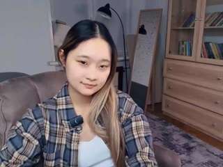 fidelabirkline webcam model