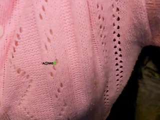  jasmin-belle chat room