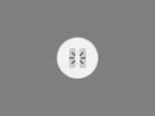 piggylatino