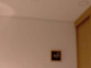 rachel-t1's CamSoda show and profile