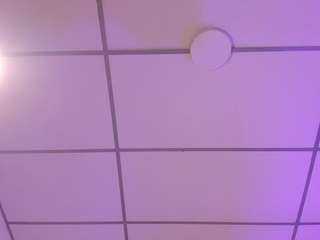 jacobrusso live cam