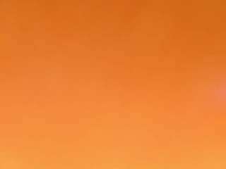 ToraMika live webcam on Soda Cams