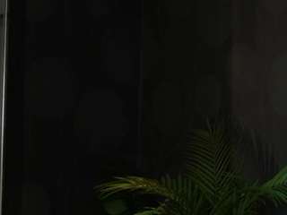 CelineHeaven