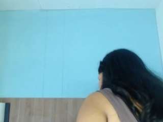 channel-mills webcam model