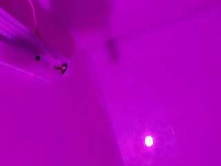 Channel-Mills live cam preview