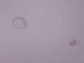 sofiaclarkson Squirt live webcam