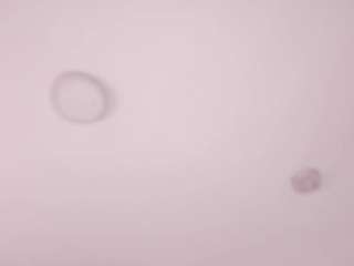 sofiaclarkson Live Webcam on CamSoda