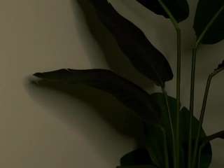 jeneluc's CamSoda show and profile