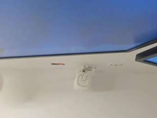 noah-pariss, female webcam model,  years old, on live webcam