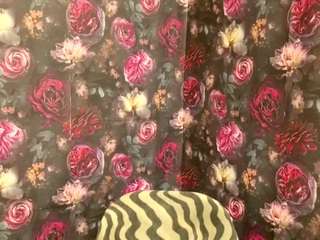 tylerdavidcreato... Live Webcam on {site_name}