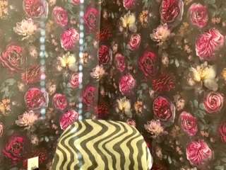 tylerdavidcreator webcam model