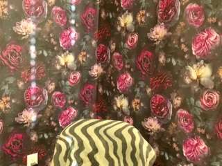 tylerdavidcreato... Live Webcam on {site_name}