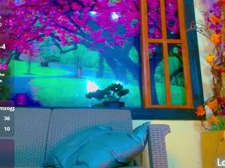 bayolet webcam model