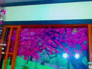 bayolet webcam model