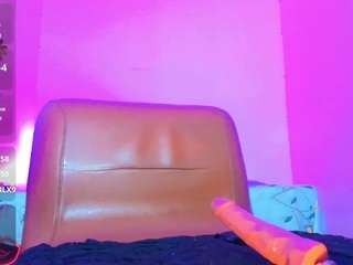bayolet webcam