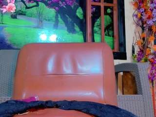 bayolet live cam preview