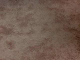 danillefrancesch... Live Webcam on CamSoda