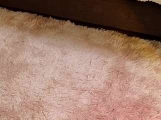 danillefranceschini live cam profile