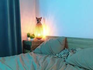 danillefranceschini
