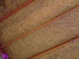  imnaughtyxxx chat room