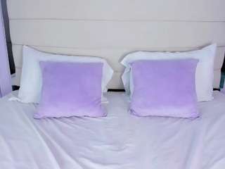 amycolmann Live Webcam on CamSoda