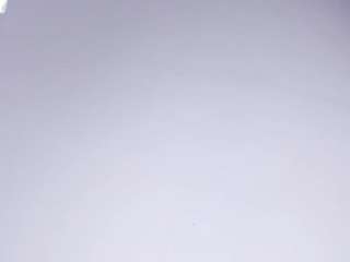 amycolmann webcam model