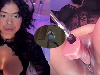 ninacapelli Live Webcam on CamSoda