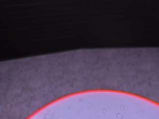 reinachloe webcam model