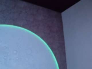 reinachloe
