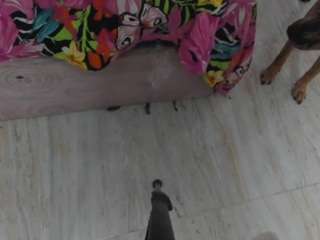 splashcam