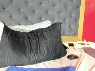 yayahilton's CamSoda show and profile