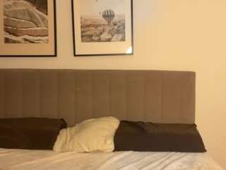 aryamirelle webcam model