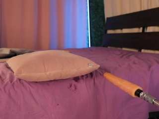 Webpetite