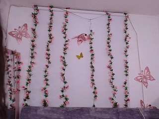 dana-gh's CamSoda show and profile