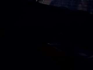 thetortuga webcam model