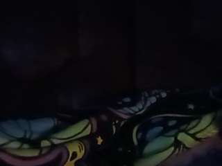thetortuga webcam